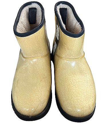 Ugg Ankle Boots (view 2)
