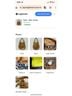 Marc Jacobs 100% Leather Brown Hobo One size - photo 14
