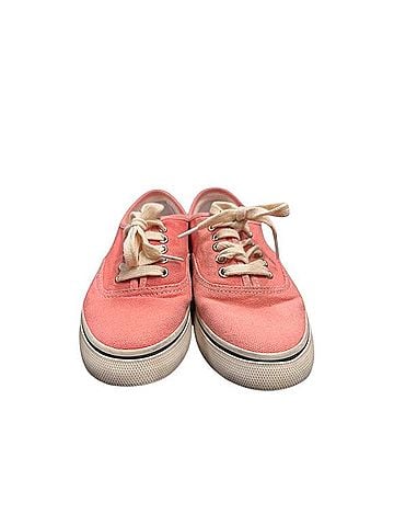 RE/DONE 70s Low Top Skate Sneakers (view 1)