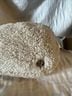 Lululemon Athletica Solid Tan White Belt Bag One size - photo 3