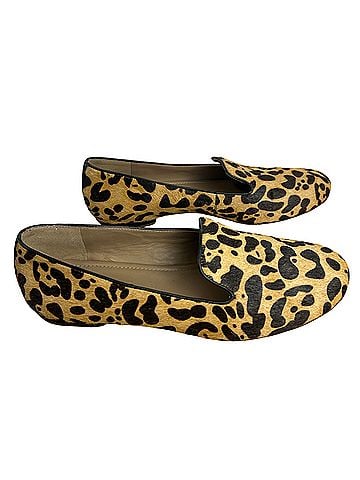 Ecco Flats (view 1)