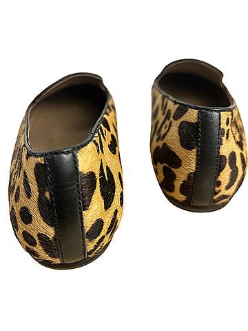 Ecco Flats (view 2)