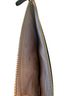 Kate Spade New York Clutch One size - photo 14