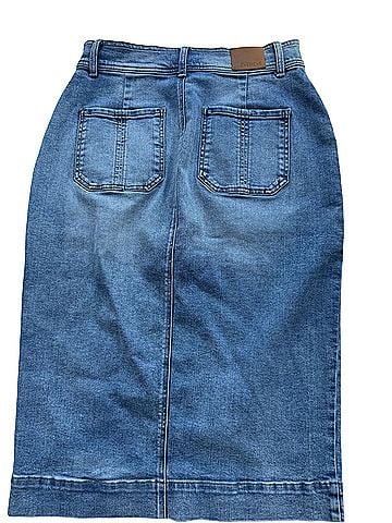 Evereve Denim Skirt (view 2)