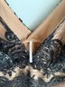 Free People 88% Polyester 12% Nylon 100% Polyester Floral Black Cocktail Dress Size 10 - photo 3