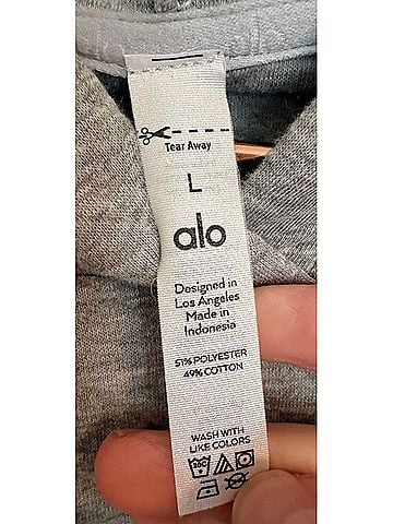 Alo Yoga arena Pullover Hoodie (view 2)