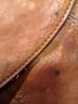 Fossil 100% Leather Brown Leather Hobo One size - photo 3