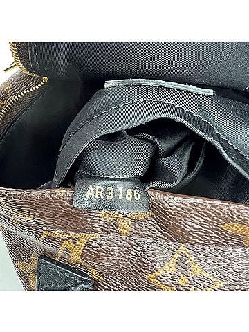Louis Vuitton Louis Vuitton Palm Springs Mini Monogram Backpack Bag (view 2)
