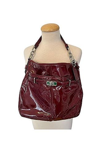 Coach Chelsea Ashlyn Hobo (view 1)