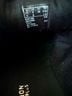Clarks 100% Rubber Animal Print Zebra Print Black White Sneakers Size 8 - photo 5