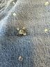 Rag & Bone Blue Jeans Size 30 waist - photo 4
