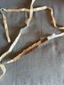BHLDN 100% Cotton Solid Multi Color Silver Ivory Belt One size - photo 5