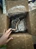 Tory Burch Black Snow boots Size 8 - photo 6