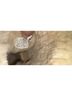 Ugg Gray Boots Size 6 - photo 7