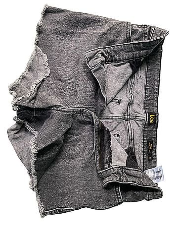 Lee Denim Shorts (view 1)