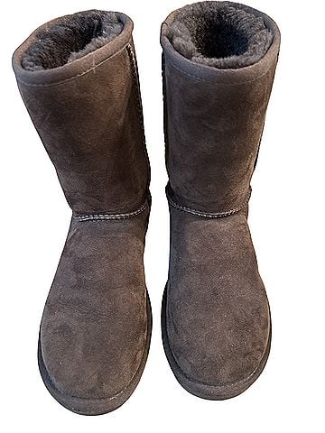 Ugg Ankle Boots (view 1)