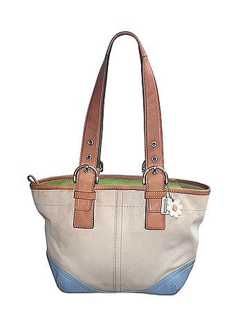 Coach Coach Daisy Hobo  Leather Hobo (view 1)