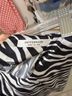 Peppermayo Animal Print Black White Skort Size 2 - photo 3
