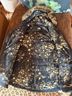 The North Face Black Jacket Size L - photo 6