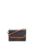 Céline 100% Coatead Canvas Brown Wallet on Strap Triomphe Coated Canvas One size - photo 1