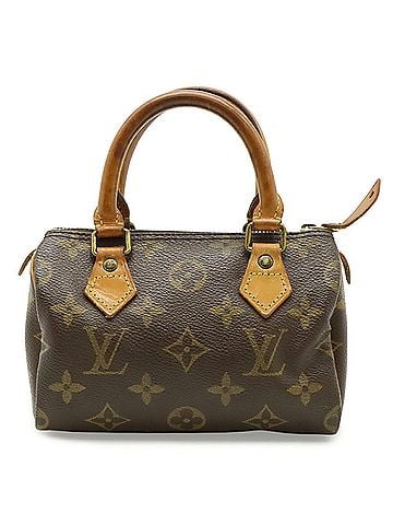 Louis Vuitton LOUIS VUITTON Louis Vuitton Monogram Mini Speedy Handbag Pouch M41534 (view 1)