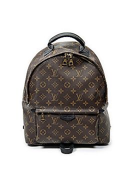 Louis Vuitton Palm Springs MM (view 1)