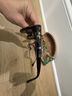 Maui Jim Floral Multi Color Black Sunglasses One size - photo 7