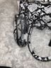 Ed Hardy Snake Print Gray Black White Crossbody Bag One size - photo 6