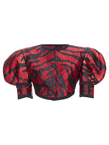 Dolce & Gabbana Dolce Gabbana 2022 Zebra Crop Jacket (view 1)