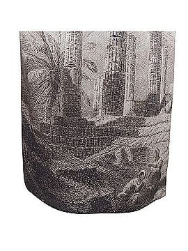 Dolce & Gabbana Dolce Gabbana silk Greek Temple Ruins print sleeveless top (view 2)