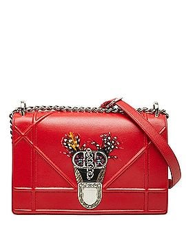 Christian Dior Christian Dior Dior Diorama Chain Shoulder Bag, Red Leather, Women's (view 1)