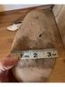 Nisolo 100% Leather Ivory Ankle Boots Size 8 1/2 - photo 5