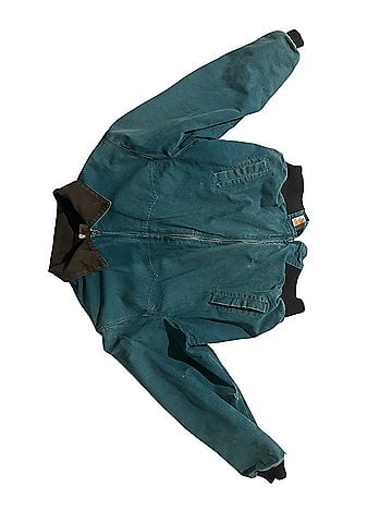 Carhartt Denim Jacket (view 1)