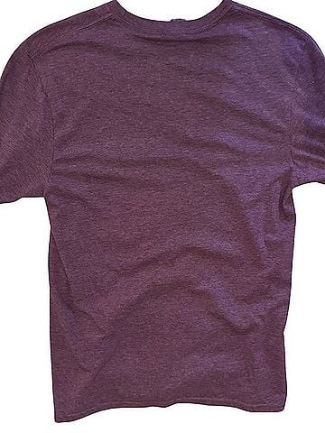 Gildan Softstyle T-Shirt (view 2)