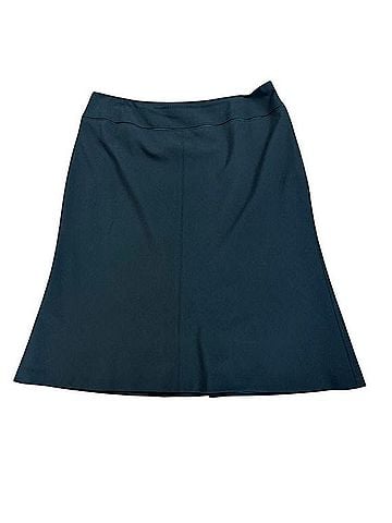 Ann Taylor Wool Skirt (view 1)