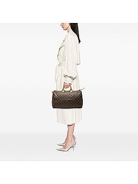 Louis Vuitton Monogram Speedy 40 (view 2)