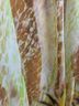 Susan Graver Floral Multi Color Sleeveless Top Size XS - photo 4