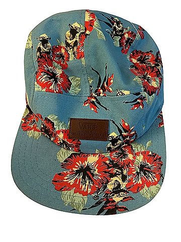 Vans Baseball Cap (view 1)