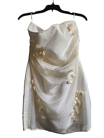 Zara Cocktail Dress (view 1)