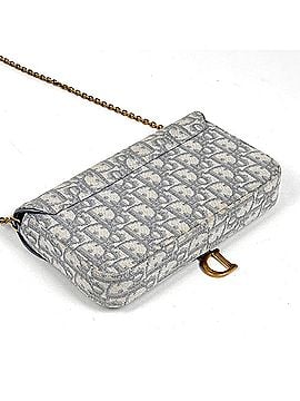 Christian Dior Christian Dior Trotter Pattern Chain Wallet Shoulder Bag, Saddle Canvas, Gray, Women's (view 2)