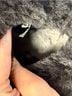 Ugg Black Ankle Boots Size 8 - photo 7