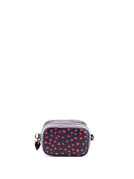 Christian Dior Lady Dior Vanity Case Printed Leather Micro (view 2)