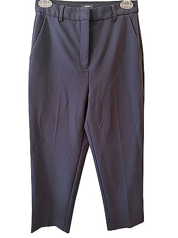 Express Dress Pants (view 1)