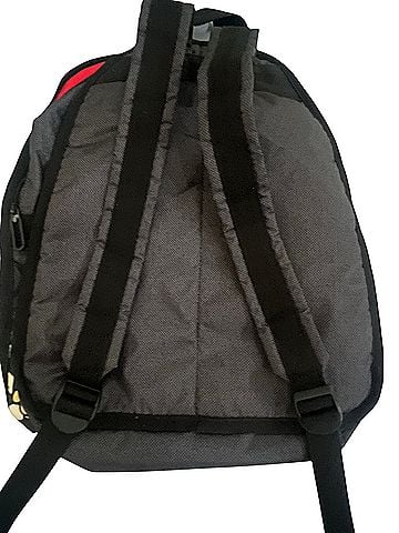 LeSportsac Backpack (view 2)