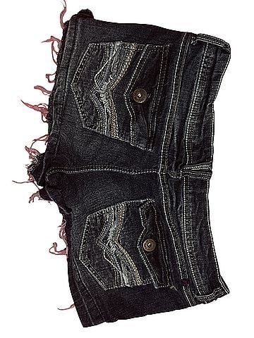 Wall Flower Denim Shorts (view 2)