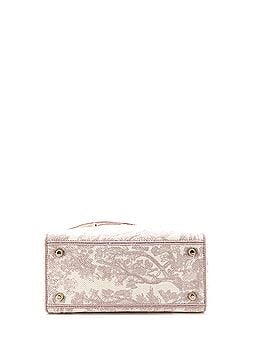 Christian Dior Toile de Jouy Lady D-Lite Bag Embroidered Canvas (view 2)