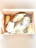 Loeffler Randall Solid Ivory White Heels Size 9 - photo 5