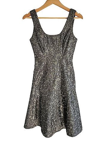 Yoana Baraschi Silver Flair Cocktail Dress (view 1)