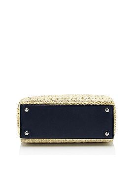 Fendi Fendi Raffia Petite 2Jours Tote (view 2)