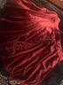 Hot Topic Red Casual Skirt Size S - photo 5